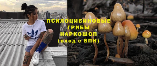 прущие грибы Навашино