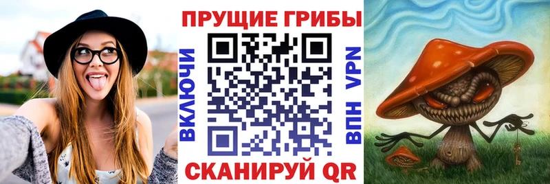 Псилоцибиновые грибы мицелий Россошь